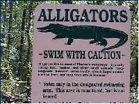 Peacock Springs - Alligator Warnschild